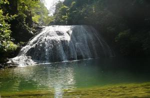 Guilin Gudong Waterfall Scenery