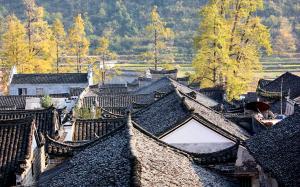 Xingan Qin Family Complex In Fall