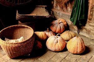 The Pumpkins In Xingan Qin Family Complex