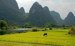 Yulong River Countryside View